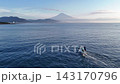 早朝の三保の松原沖・駿河湾と富士山Mt.Fujiを背景に航行する釣り船のドローン空撮 143170796
