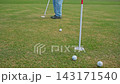 A Golfer Concentrating While Putting on the Green Under a Beautiful Clear Blue Sky and misses the hole in a game of golf 143171540