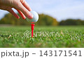 A golfer is getting ready to tee off with a golf ball on a sunny and vibrant course 143171541