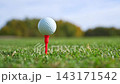 Golf Ball Positioned on a Tee, All Set for a Shot in a Beautiful Lush Green Field 143171542