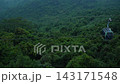Yalong Bay, China - October 14, 2024: An Aerial View of a Gondola Gliding Over a Lush Green Forest Canopy, Impressive Sights Await 143171548
