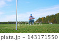 A Golfer Concentrating While Putting on the Green Under a Beautiful Clear Blue Sky and misses the hole in a game of golf 143171550