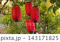 Red Chinese Lanterns Swaying in Wind 143171825