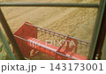 Combine harvester reel spinning while harvesting a golden wheat field, view from the driver's cabin 143173001