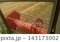 Combine harvester working in a wheat field seen from the driver's cabin in slow motion, harvesting ripe crops at sunset 143173002