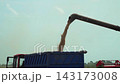Combine harvester unloading wheat grain into a tractor trailer during harvest season in an agricultural field in slow motion 143173008