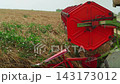 Combine harvester header gathering wheat in a field during harvest season with dust rising from the machinery in slow motion 143173012