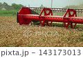 Combine harvester reel spinning while cutting ripe wheat spikes in a field during harvest season on a farm in slow motion 143173013