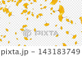 alpha ginkgo leaves fall with the autumn wind 143183749