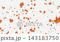 alpha maple leaves rush across the screen 143183750