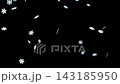3DCG snowflakes falling diagonally against a black background; loop from 301f to 600f; can be rotated 90 degrees for use in portrait mode. 143185950