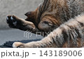 Close-up of a cat grooming itself 143189006