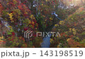 Drone footage of a train passing through the autumn foliage of Naruko Gorge in Miyagi Prefecture. 143198519