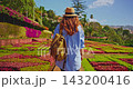 A young female traveler in a hat explores the planet's incredibly beautiful locations solo with a backpack, admiring the scenery. A concept of freedom and solo travel 143200416
