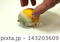 Hand Turning Moldy Lemon Isolated on White Background 143203609