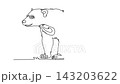 Self drawing animation of single line draw wild sun bear standing on all fours. Stocky body, expressive face and claws, representing tropical rainforest wildlife. Continuous line. Full length animated 143203622