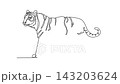 Self drawing animation of single line draw wild tiger animal prowling gracefully in the jungle, endangered species conservation, biodiversity, and predator fauna. Continuous line. Full length animated 143203624