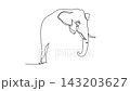 Animated self drawing of continuous line draw a wild elephant walking forward with a curved trunk, large tusks, and ears. Powerful of the endangered rainforest animal. Full length one line animation 143203627