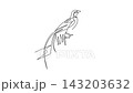 Animated self drawing of continuous line draw a tropical bird of paradise perched high on a diagonal branch, showcasing long ornamental tail feathers, elegant posture. Full length one line animation 143203632