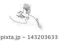Animated self drawing of continuous line draw an exotic bird of paradise in mid-flight, displaying its widespread wings and flowing ornamental tail plumage in a dynamic. Full length one line animation 143203633