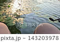 POV Fishing Rod Float Resting on Calm Lily Pad Lake 143203978