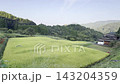 [Yamaga City, Kumamoto Prefecture] Early autumn rural scenery surrounded by mountains and greenery 143204359