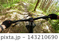 POV Of Cyclist Riding Mountain Bike On Dirt Trail In Summer Forest 143210690