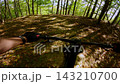 Mountain bike downhill ride on a forest path with scenic autumn nature view 143210700