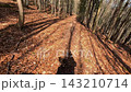 Slow Motion POV GoPro Mountain Biking Downhill Forest Singletrack in Autumn 143210714