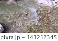 Flowing Water in Harmankaya Canyon Flowing Water in Harmankaya Canyon 143212345