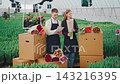 Young flower-growing entrepreneurs sort and check bouquet orders inside bright greenhouse with tulip rows, packed shipping boxes, and wrapped blooms. Small business, flower cultivation. 143216395