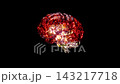 Brain digital color. Featuring internal electrical circuit-like lines Simulation of neuronal communication. Futuristic medical technology concept. Animation Seamless loop, 3D Render. 143217718
