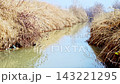 Calm Rural River With Reed Banks 143221295