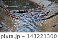 Urban Rain Drain Water Flow Close Up 143221300
