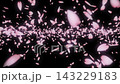 オーバーレイ用/スクリーン合成用 桜の花びらがカメラに向かって舞い散るCGアニメーション 黒背景 143229183