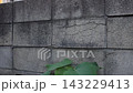 A concrete block wall that has developed cracks and gaps due to age-related deterioration. 143229413