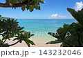夏の沖縄イメージ　モンパノキの間から見る青い海と青い空 143232046