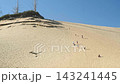 People climbing up the steep sandy slope of the giant sand dune at Cape Kiwanda, Oregon 143241445