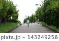 夏天，一位十幾歲的女孩在公園裡遛她可愛的博美犬。 143249258