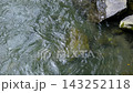 清らかな渓流の水の流れ（60fps 高フレームレート） 143252118
