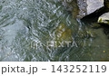 【スローモーション】清らかな渓流の水の流れ 143252119