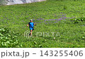 Male hiker walking wide view through alpine meadow near Namkuami Lake in Svaneti, Georgia, showing mountain recreation, wildflower terrain, trekking tourism, and active outdoor travel promotion 143255406