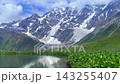 Hiker walks across alpine meadow in wide view beside Namkuami Lake and Shkhara Glacier, with snowy Caucasus peaks near Ushguli in Svaneti, Georgia, for travel marketing and trekking tourism use 143255407