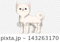 一段循環播放的動畫視頻，畫面中一隻柴犬（白色柴犬）快樂地吠叫，興奮地搖著尾巴。 143263170