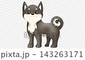 一段循環播放的柴犬（黑色柴犬）快樂吠叫、興奮搖尾巴的動畫影片。 143263171