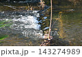 A clear stream of water splashing up 143274989