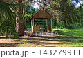 Traditional wooden water well with roof surrounded by tall pine and spruce trees in a peaceful forest on a sunny summer day 143279911