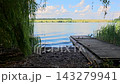 Quiet wetland with reeds reflected in still water along a peaceful natural riverbank beneath a bright summer sky 143279941