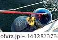 Rubber mooring buoys are firmly tied with ropes to the stern of a yacht sailing fast in the open sea 143282373