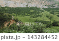 Scenic Mountain Landscape Pass View From Moving Vehicle Window 143284452